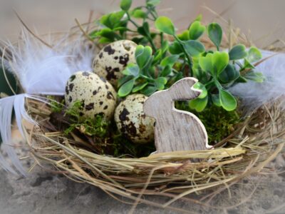Ostern in Schlitz — Frühlingsurlaub im April und Mai