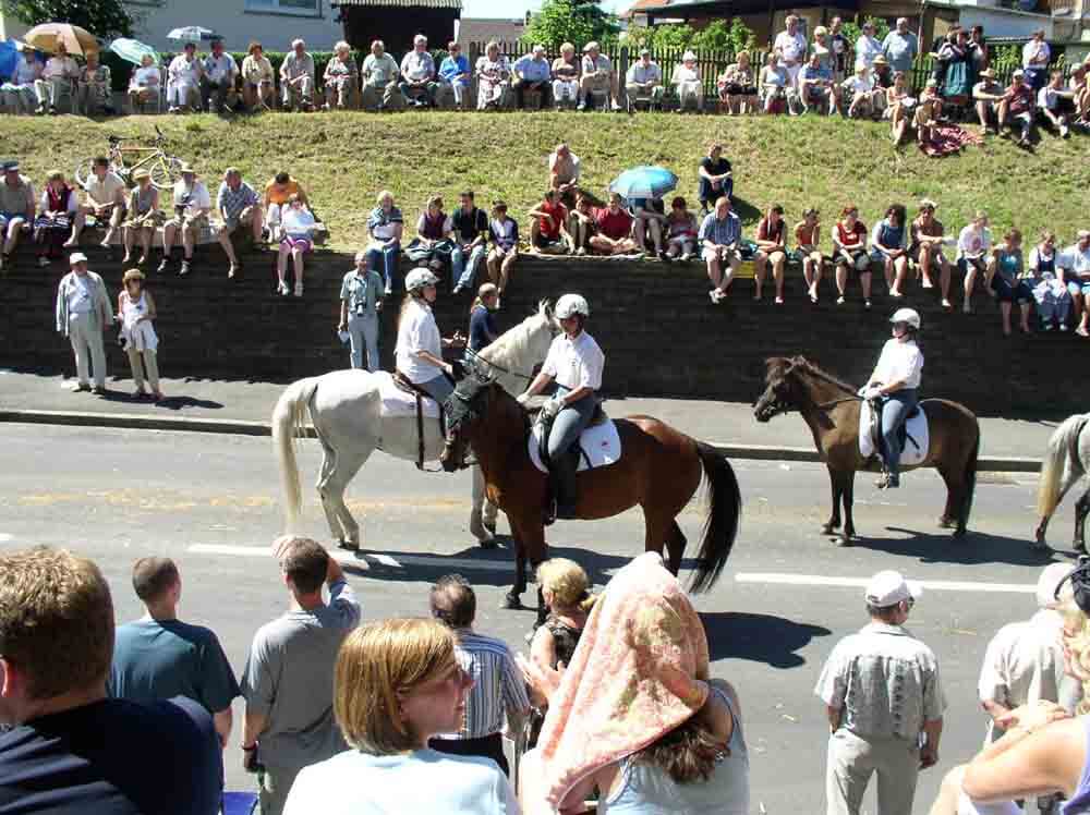 Die Motivwagen zeigen das Leben in Schlitz zu Zeiten des Mittelalters. Landwirtschaftliche Wagen, Adel, Ritter, Handwerk und mehr gibt es zu bestaunen beim Umzug während des Schlitzer Trachtenfestes (Foto: ferienwohnung-schlitz.de)