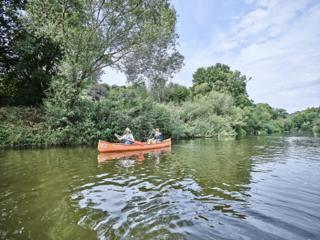 Ein Paar paddelt in einem roten Kanu auf einem ruhigen, von Bäumen gesäumten Fluss.