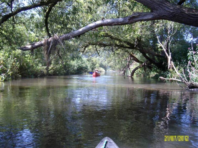 Kanufahrt auf der Schlitz unter überhängenden Bäumen