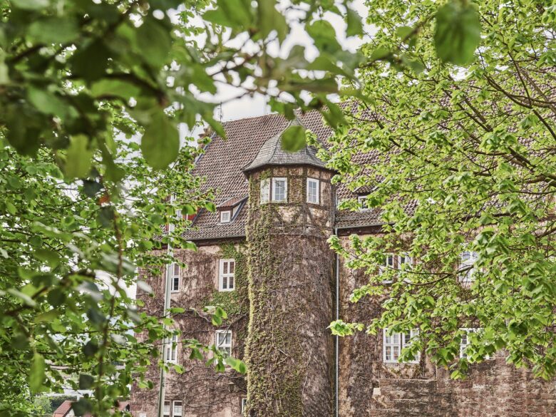d823bddb-hinterburg-pailis